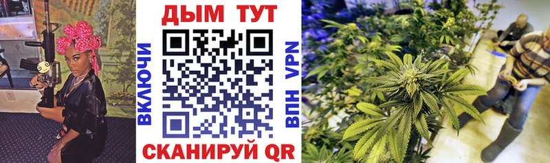 МЕГА как войти  дарнет шоп  Борзя  Бошки Шишки семена 